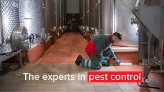 Introducing Rentokil: Global experts in commercial pest control