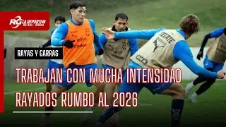 RAYADOS TRABAJAN CON INTENSIDAD - RAYAS Y GARRAS