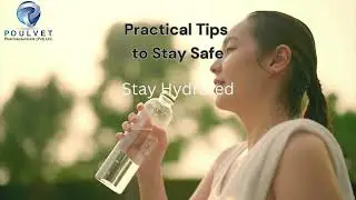 Smog Season Is Here - Protect Yourself