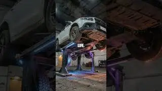 From Ordinary Sedan to Neon Beast: A DIY to Pro Transformation