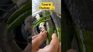 Turai ki Chutney|तुरई  की चटनी || 😋