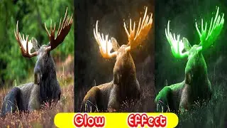 Easy Photoshop Glow Effect Tutorial | Step-by-Step Guide | Photoshop tutorial#photoshop #digitalart