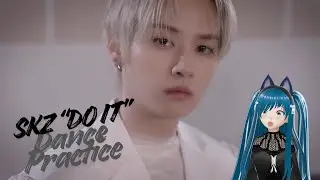 Stray Kids &ldquo;Do It&rdquo; Black Swan Dance Practice REACTION | K-Pop Royalty👑🐺
