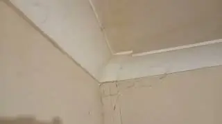 20th December 2025, clearly water damage and internal craks inside the property.