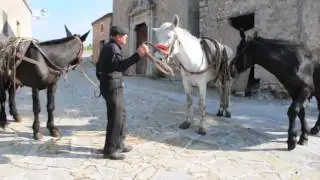 Zio Angelo e i muli di Salvatore di Cicc'