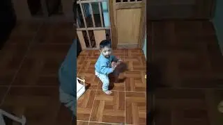 Beb&eacute; bailando Gangnam style