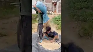 chinese funny short cartoon#youtube#chinese#shortvideo#comedy #facts#funny#cartoon#shorts