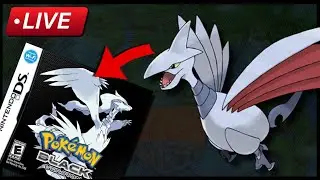 LIVE: Pokemon Black: Skarmory Only Solo Run (read description)