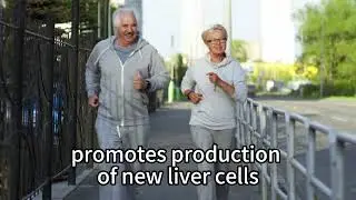 Milk thistle extract as main ingredient promotes production of new liver cells,