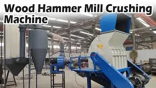 Wood Hammer Mill Crushing Machine Working Video | Sawdust Making Process #woodworking #wood #crusher