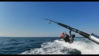 Chasing Bluefin Tuna Wirrina Cove to Cape Jervis