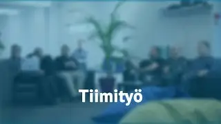 Tiimity&ouml; &mdash; Mystesl&auml;isten kokemuksia