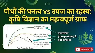 Plant Population Density @AgriTech India