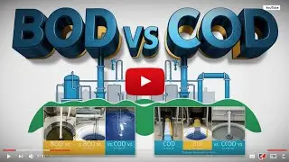 BOD vs COD: What&rsquo;s the Difference?