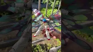 HG Turn A Gundam #gundam #gunpla #gunplacustom #gunplabuilder #shorts #gundamturna #turnagundam