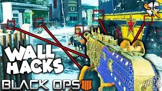 Outrider is BROKEN... WALLHACKS in Black Ops 4 WTF