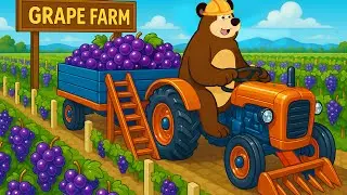 Farmer And Tractor: Grape Harvesting and Growing Process on a Modern Farm | Vehicles Farm