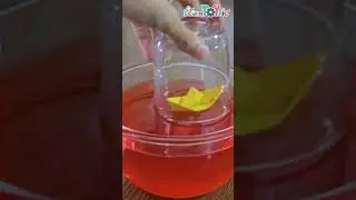 Boat Sinking experiment ⛵#shortvideo #shorts #diy