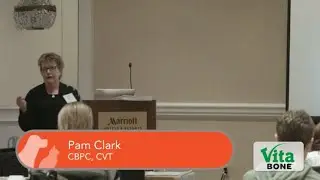 Feather Destructive Behavior with Pam Clark