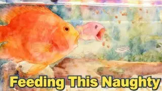 (CLIP) Whispers of Water: Fish Feeding ASMR for Deep Sleep