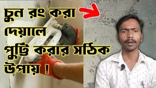 চুন লাগানো দেয়ালে কীভাবে পুট্টি করবেন? How to apply putty on old painted wall ?