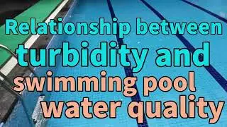 What is turbidity in the swimming pool water quality?
