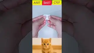 only one person genius see can right answer #cat #memes #bombastic #trending #usa