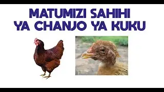 MATUMIZI SAHIHI YA CHANJO KWA KUKU