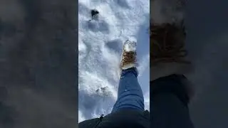 Snow sound while Walking ASMR #themerkelsfamily #asmr #snowwalk #germany