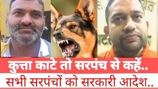 Dog Bite मामले में सरकारी आदेश.. village sarpanch.. ateli ok news haryana cm Nayab Saini bjp haryana