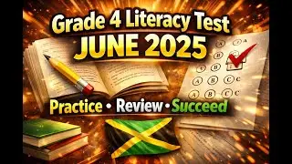 Grade 4 Literacy Test Paper | June 2025 | Practice & Review