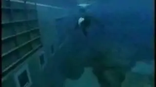 Orca Movie