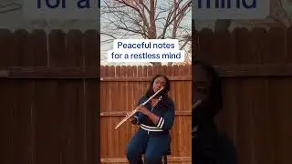Landslide - Fleetwood Mac (Flute Cover)