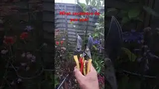 What secateurs do you use?