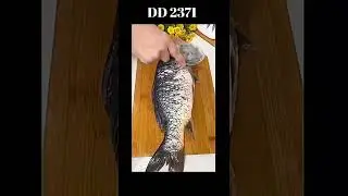 Fish Scale Scraper