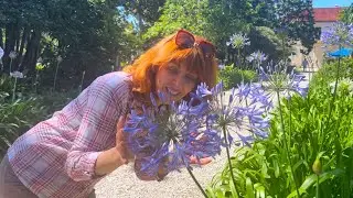 My Life in Gibraltar, The Convent Garden Open Day, May 2025
