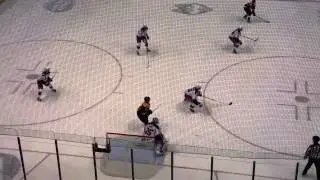 Yann Danis makes the save of the game 42515