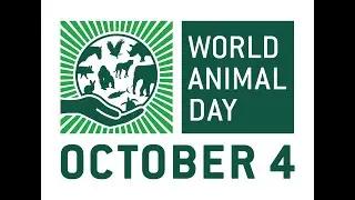 The Origin of World Animal Day