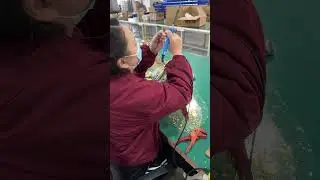 XLIGHTING factory daily production #concertlight #kineticlight #stagelight