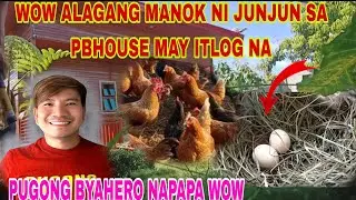 WOW ALAGANG MANOK SA PB HOUSE MAY ITLOG NA #pbteamdavao #pugongbyahero 