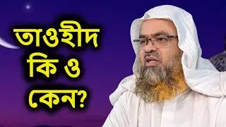 তাওহীদ কি ও কেন | আবু বকর মুহাম্মাদ যাকারিয়া | abu bakar Muhammad zakaria