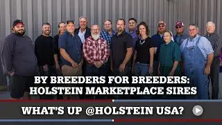 What's Up at Holstein USA: Holstein Marketplace Sires
