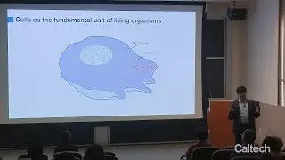 Everhart Lecture: Illuminating the 