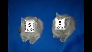 Two of themq