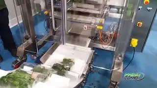 Packaging baby spinach with the PrimoCombi & XPdius elite vertical form & seal bagging machine