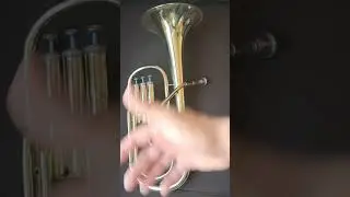 SAXHORN &Eacute; CONTRALTO OU TENOR ? #ccb #saxhornccb #altohorn