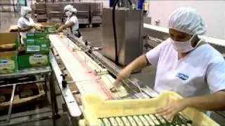 Video institucional Grupo Calvo El Salvador
