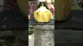 CUTTING SKILL YELLOW COCONUT..#asmr #viral #cutting #shorts #cuttingfruit #asia