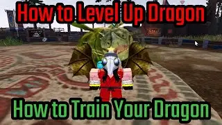 How to Level Up Dragon in How to Train Your Dragon Roblox