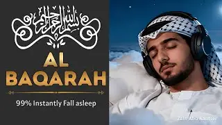 Soothe Your Heart and Sleep Deeply with Healing Lofi Quran Recitation at Night | Zain Abu Kautser